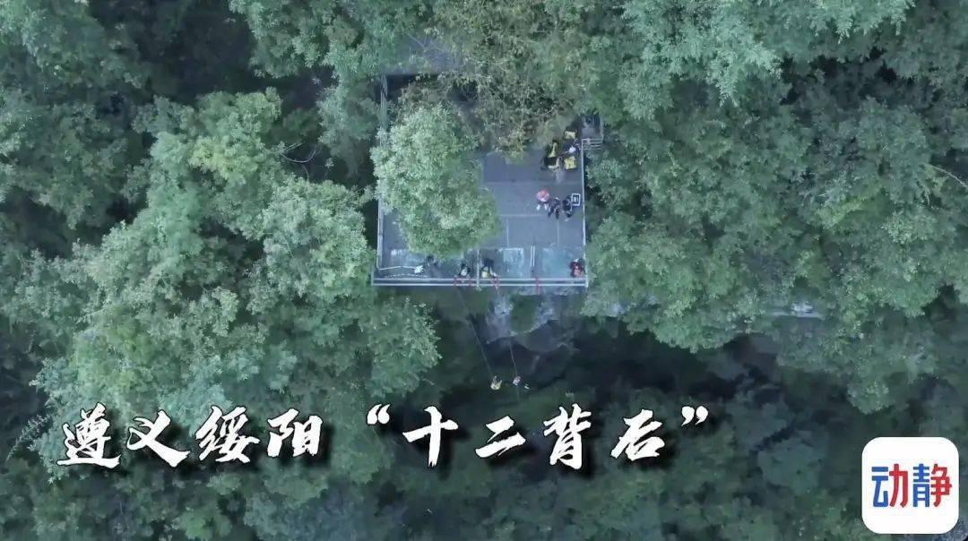 受困的西红柿